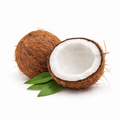Coconut Oil